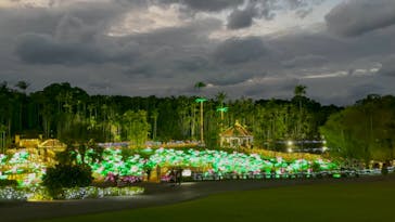 美らヤシパークオキナワ・東南植物楽園に投稿された画像（2021/11/23）