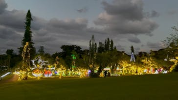 美らヤシパークオキナワ・東南植物楽園に投稿された画像（2021/11/23）