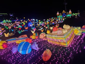 伊豆ぐらんぱる公園に投稿された画像（2021/11/23）