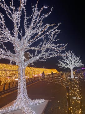 東京メガイルミに投稿された画像（2021/11/23）