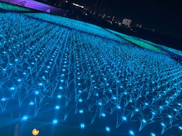 東京メガイルミに投稿された画像（2021/11/23）