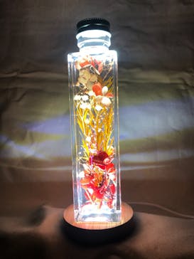 ずこうしつ〜sugamo〜に投稿された画像（2021/11/23）