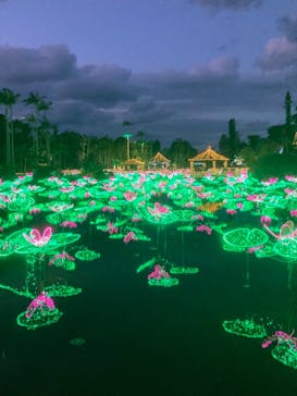 美らヤシパークオキナワ・東南植物楽園に投稿された画像（2021/11/23）