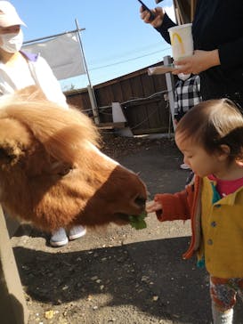 まかいの牧場に投稿された画像（2021/11/23）