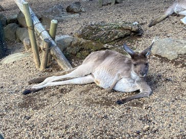 伊豆シャボテン動物公園に投稿された画像（2021/11/23）