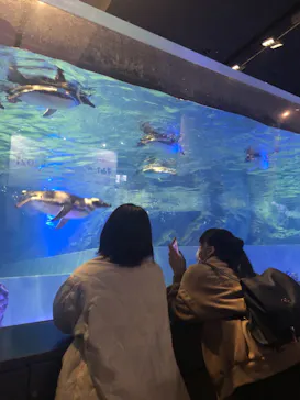 すみだ水族館に投稿された画像（2021/11/23）