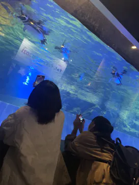 すみだ水族館に投稿された画像（2021/11/23）