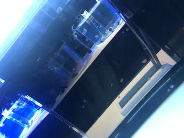 すみだ水族館に投稿された画像（2021/11/23）