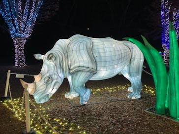 東武動物公園に投稿された画像（2021/11/23）