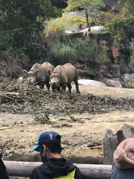 天王寺動物園に投稿された画像（2021/11/23）