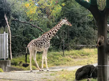 天王寺動物園に投稿された画像（2021/11/23）