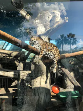 天王寺動物園に投稿された画像（2021/11/23）