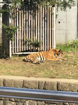 天王寺動物園に投稿された画像（2021/11/23）