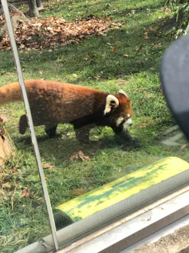 天王寺動物園に投稿された画像（2021/11/23）