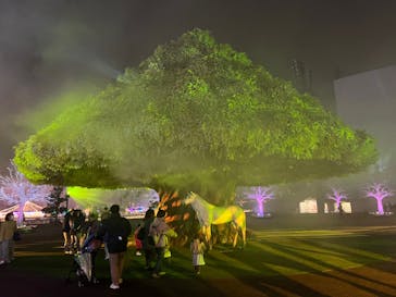 東京メガイルミに投稿された画像（2021/11/23）