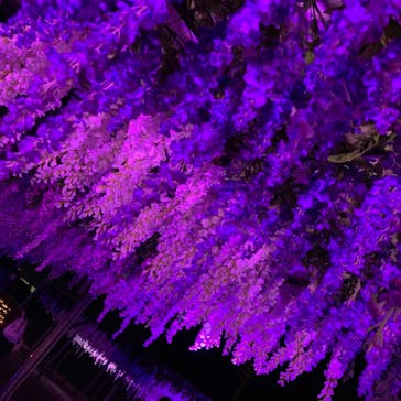 東京メガイルミに投稿された画像（2021/11/23）