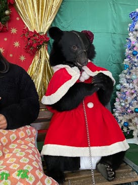 阿蘇カドリー・ドミニオンに投稿された画像（2021/11/23）