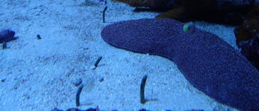 サンシャイン水族館に投稿された画像（2021/11/23）