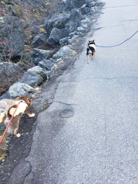 鬼押出し園に投稿された画像（2021/11/23）