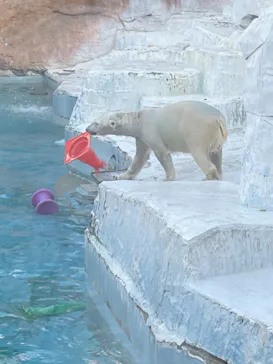 天王寺動物園に投稿された画像（2021/11/23）