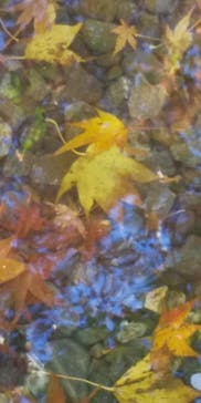 伊豆パノラマパークに投稿された画像（2021/11/23）