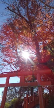 伊豆パノラマパークに投稿された画像（2021/11/23）