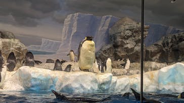 名古屋港水族館に投稿された画像（2021/11/23）