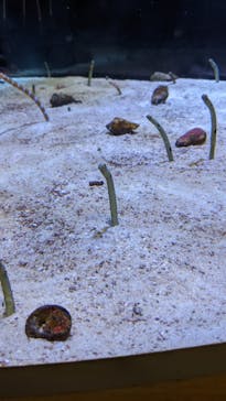 名古屋港水族館に投稿された画像（2021/11/23）