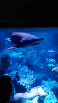 すみだ水族館に投稿された画像（2021/11/23）