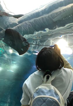 マクセル アクアパーク品川に投稿された画像（2021/11/23）