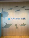 仙台うみの杜水族館に投稿された画像（2021/11/23）