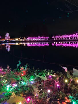 東武動物公園に投稿された画像（2021/11/23）