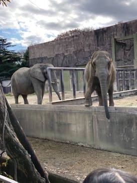 東武動物公園に投稿された画像（2021/11/23）
