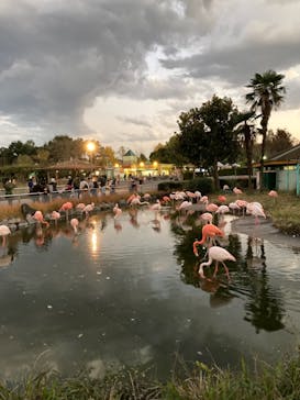 東武動物公園に投稿された画像（2021/11/23）