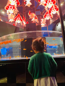 すみだ水族館に投稿された画像（2021/11/23）