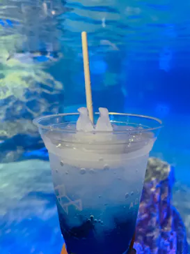 すみだ水族館に投稿された画像（2021/11/23）