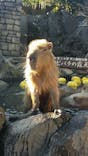 伊豆シャボテン動物公園に投稿された画像（2021/11/24）