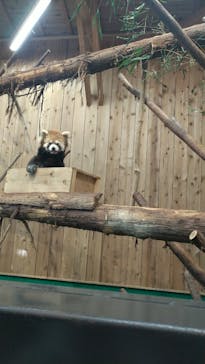 伊豆シャボテン動物公園に投稿された画像（2021/11/23）