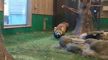 伊豆シャボテン動物公園に投稿された画像（2021/11/23）