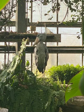 神戸どうぶつ王国に投稿された画像（2021/11/23）