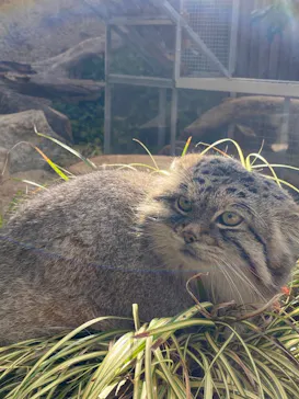 神戸どうぶつ王国に投稿された画像（2021/11/23）