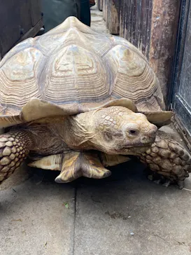 神戸どうぶつ王国に投稿された画像（2021/11/23）