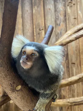 神戸どうぶつ王国に投稿された画像（2021/11/23）