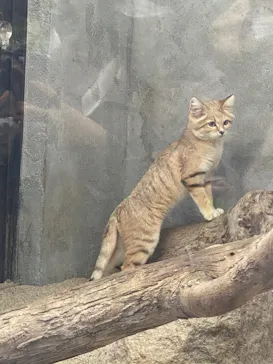 神戸どうぶつ王国に投稿された画像（2021/11/23）