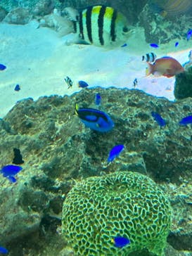 マクセル アクアパーク品川に投稿された画像（2021/11/23）