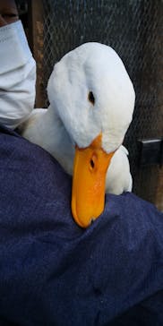 ロックハート城に投稿された画像（2021/11/23）