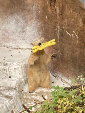 天王寺動物園に投稿された画像（2021/11/23）