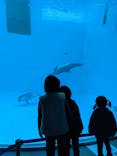 名古屋港水族館に投稿された画像（2021/11/24）