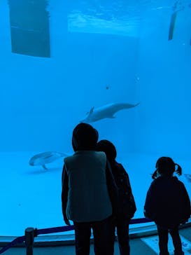 名古屋港水族館に投稿された画像（2021/11/23）