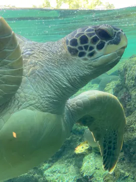 横浜・八景島シーパラダイスに投稿された画像（2021/11/23）